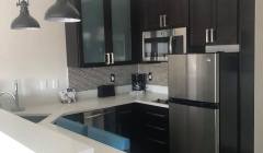 artis remodeling 46
